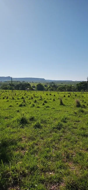 Foto 1 de Fazenda/Sítio à venda, 10280000m² em Centro, Rondonópolis