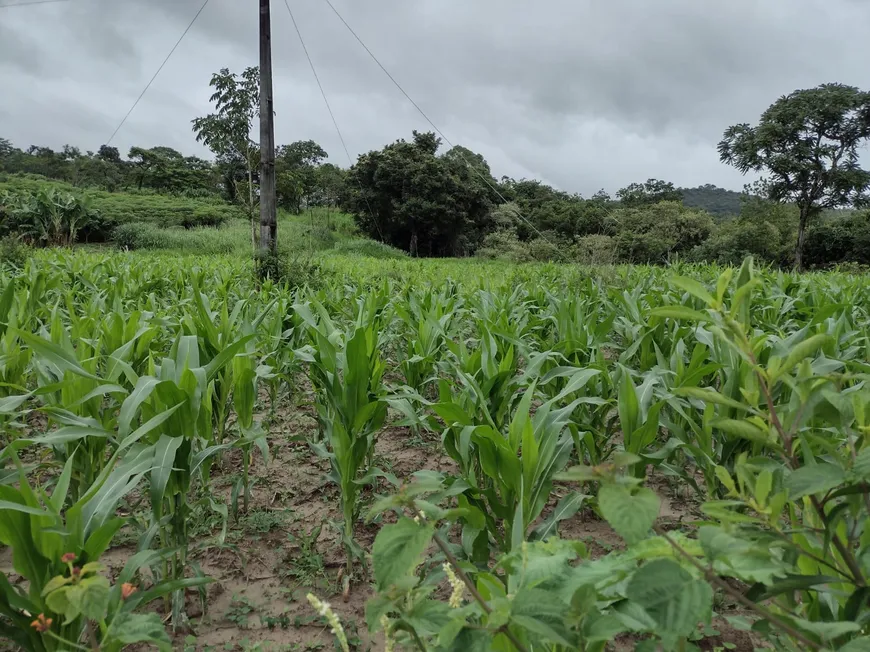 Foto 1 de Lote/Terreno à venda, 20000m² em Zona Rural, Fortuna de Minas