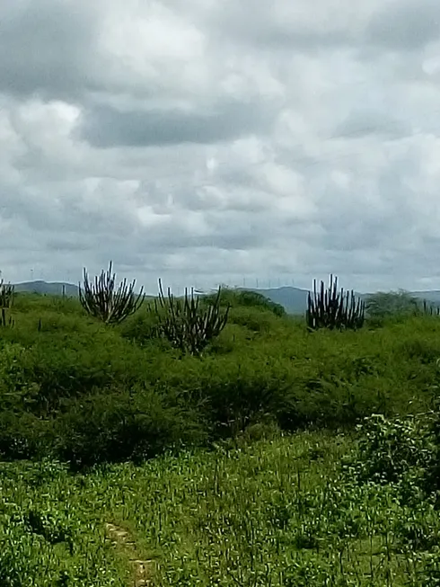 Foto 1 de Fazenda/Sítio com 4 Quartos à venda, 300000m² em Centro, Macaíba