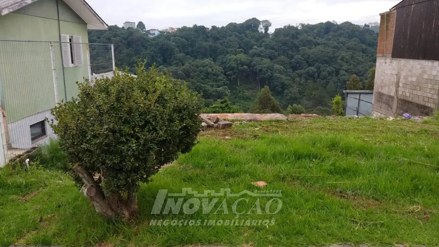 Foto 1 de Lote/Terreno à venda em Esplanada, Caxias do Sul