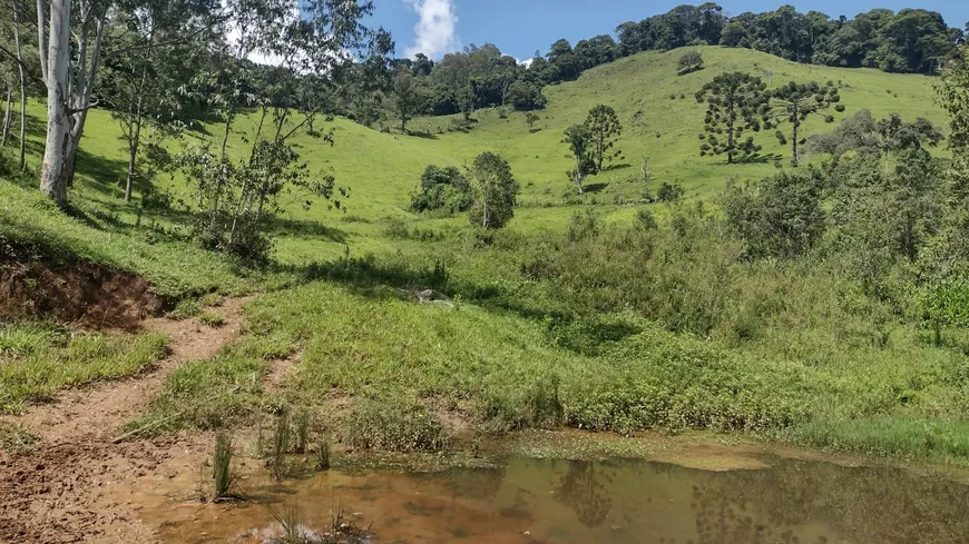 Foto 1 de Fazenda/Sítio à venda, 72000m² em Zona Rural, Marmelópolis