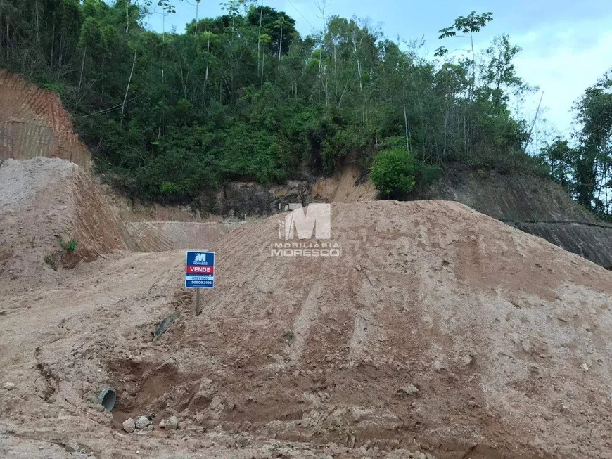 Foto 1 de Lote/Terreno à venda, 491m² em Dom Joaquim, Brusque