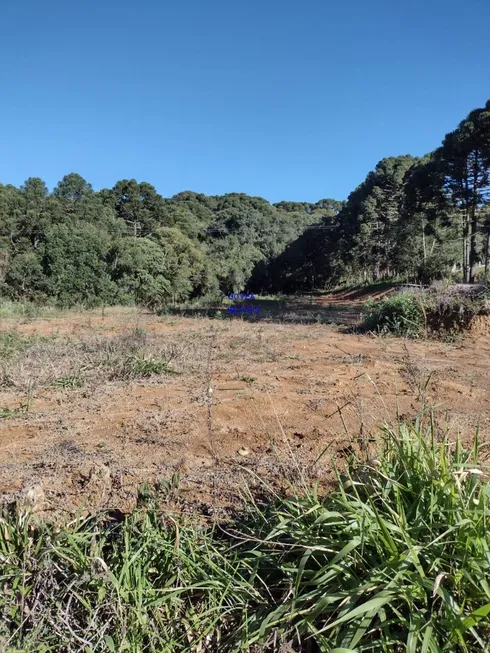 Foto 1 de Fazenda/Sítio com 1 Quarto à venda, 6711m² em Zona Rural, Agudos do Sul