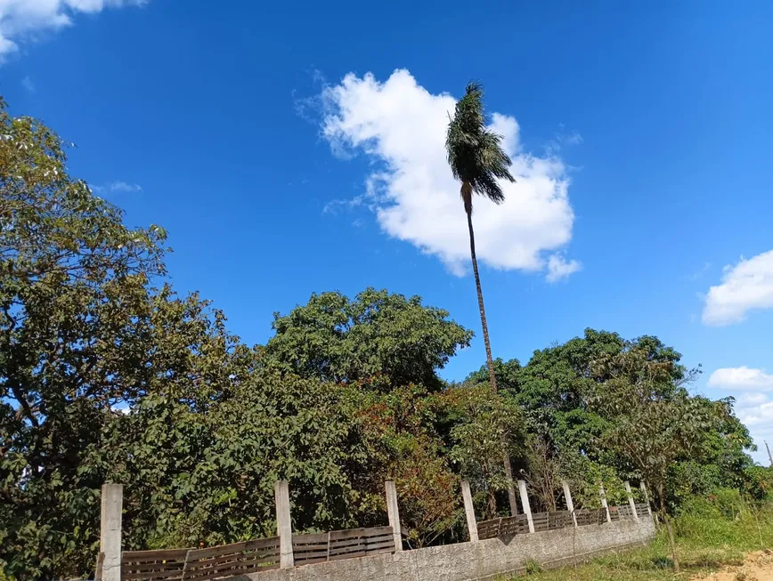 Foto 1 de Fazenda/Sítio com 3 Quartos à venda, 2000m² em Mansoes das Andorinhas, Novo Gama