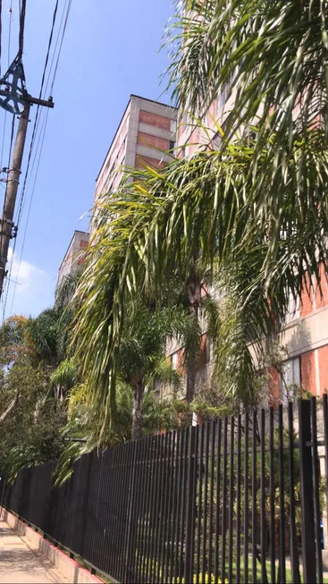 Foto 1 de Apartamento com 3 Quartos à venda, 75m² em Jardim Piraçuama, São Paulo