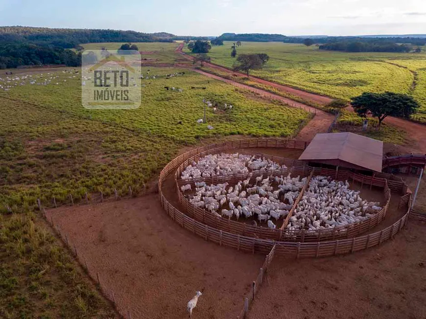 Foto 1 de Fazenda/Sítio à venda, 188000000m² em Zona Rural, Goiatins