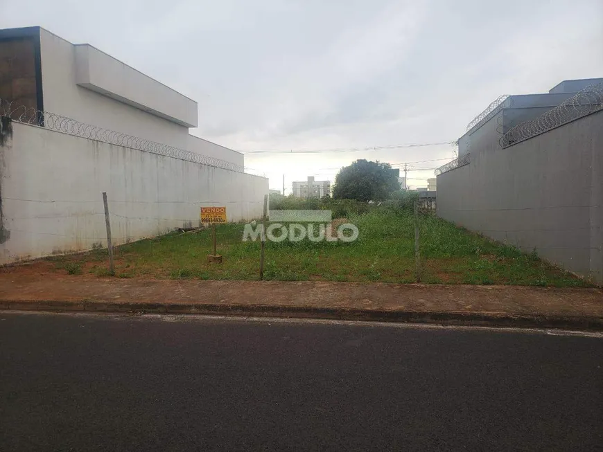 Foto 1 de Lote/Terreno à venda, 300m² em Novo Mundo, Uberlândia