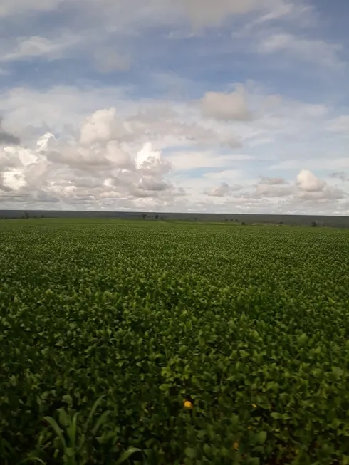 Foto 1 de Fazenda/Sítio com 4 Quartos à venda, 125m² em Zona Rural, Nova Xavantina