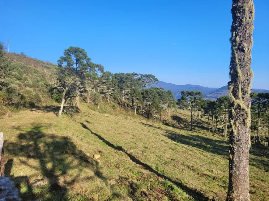 Foto 1 de Fazenda/Sítio à venda, 190000m² em Centro, Rio Rufino