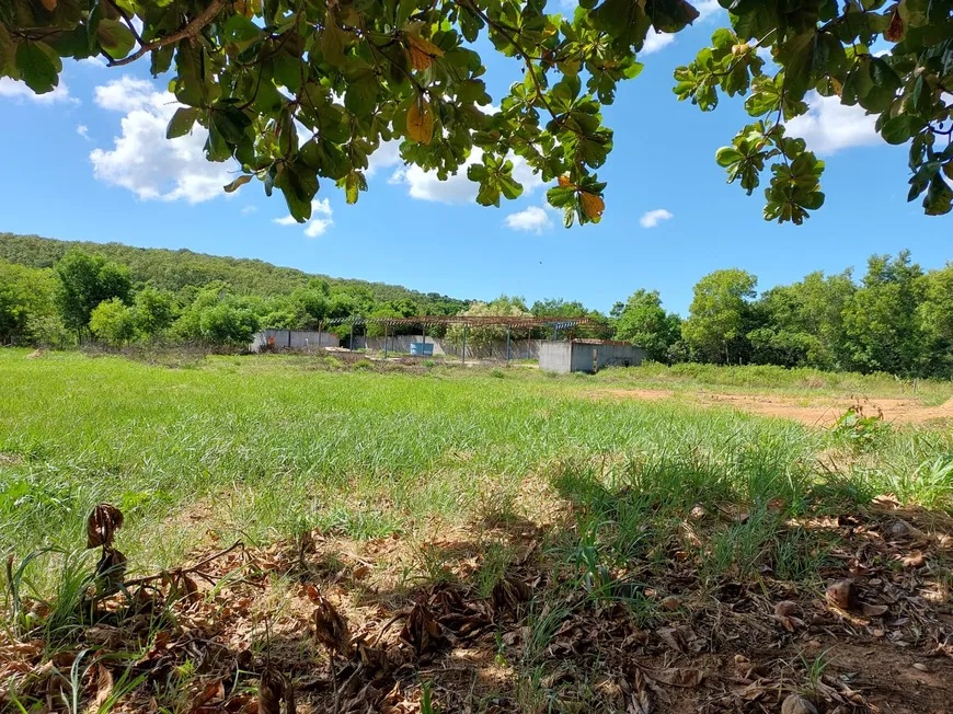 Foto 1 de Fazenda/Sítio com 2 Quartos à venda, 10000m² em Comunidade Urbana de Samambaia, Guarapari