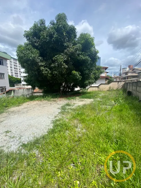 Foto 1 de Lote/Terreno à venda, 382m² em Centro, Betim