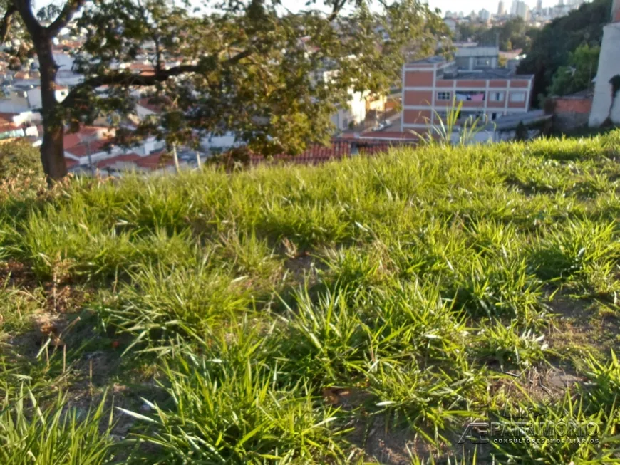 Foto 1 de Lote/Terreno à venda, 300m² em Vila Haro, Sorocaba