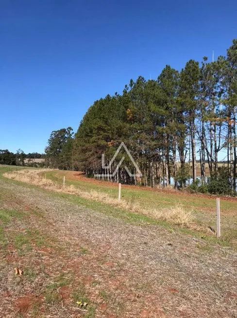 Foto 1 de Lote/Terreno à venda em , Nicolau Vergueiro