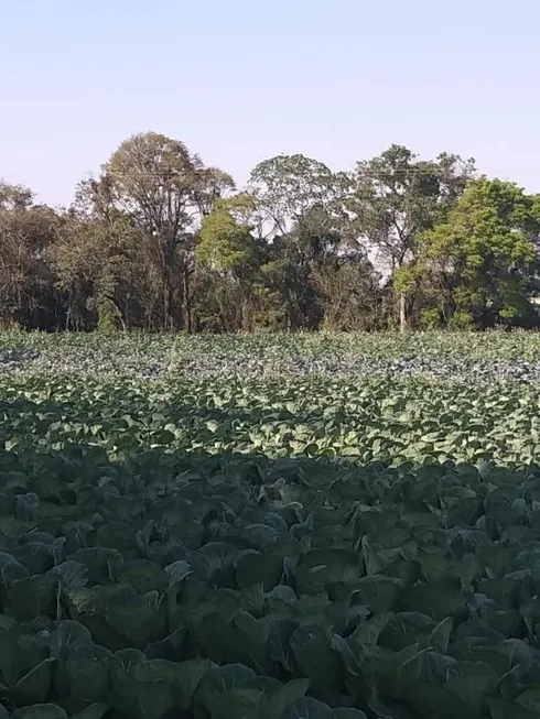 Foto 1 de Fazenda/Sítio com 1 Quarto à venda, 23600m² em Centro, Araucária