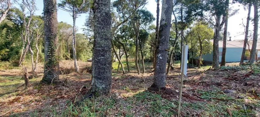 Foto 1 de Lote/Terreno à venda, 811m² em Vila Germania, Nova Petrópolis