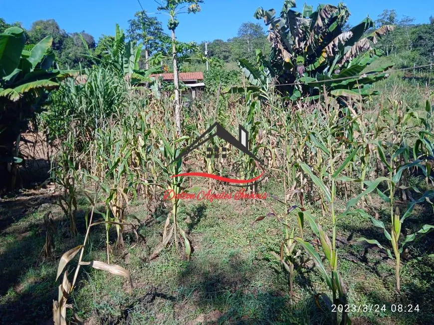 Foto 1 de Fazenda/Sítio à venda, 15m² em Desembargador Otoni, Diamantina