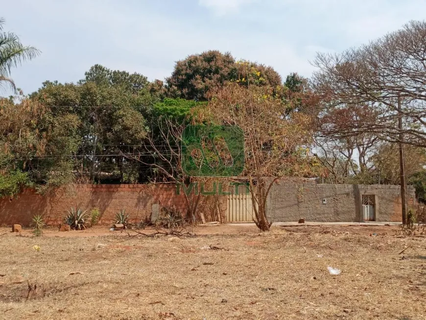 Foto 1 de Fazenda/Sítio com 2 Quartos à venda, 150m² em Morada Nova, Uberlândia