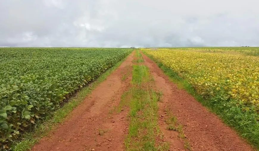 Foto 1 de Fazenda/Sítio com 7 Quartos à venda em , Água Fria de Goiás