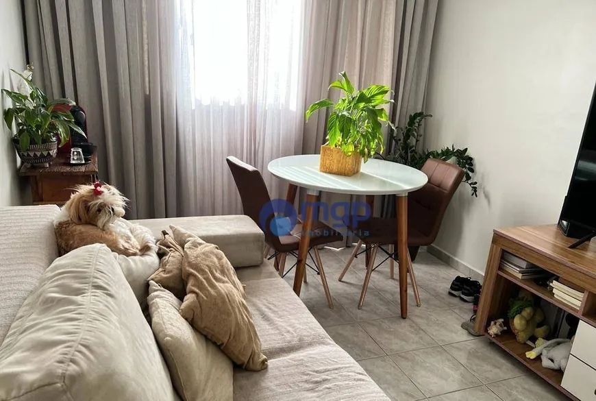 Foto 1 de Apartamento com 1 Quarto à venda, 47m² em Vila Mazzei, São Paulo