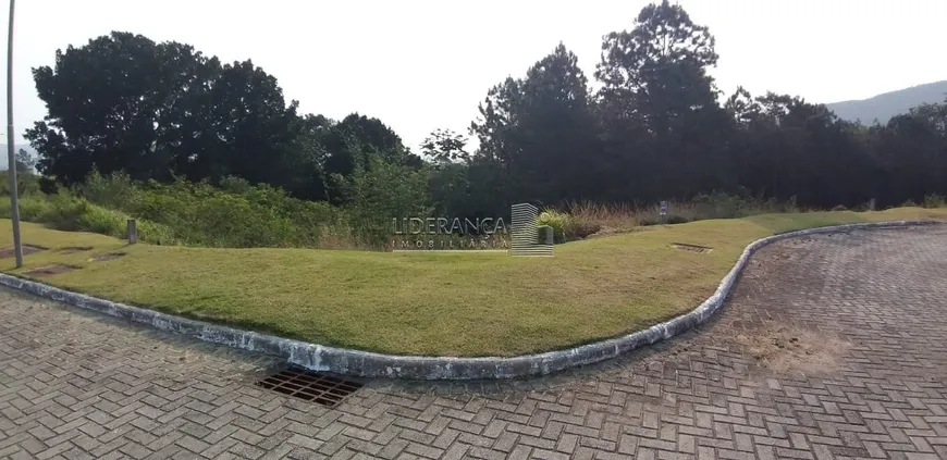 Foto 1 de Lote/Terreno à venda, 490m² em Itacorubi, Florianópolis