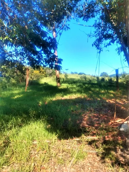 Foto 1 de Lote/Terreno à venda, 24200m² em CANELAU, Munhoz