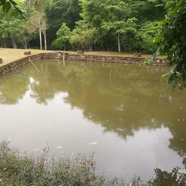 Foto 1 de Fazenda/Sítio com 3 Quartos à venda, 110000m² em Zona Rural, Tuiuti