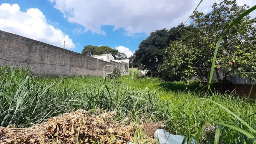 Foto 1 de Lote/Terreno para venda ou aluguel, 514m² em Jardim Planalto, Campinas