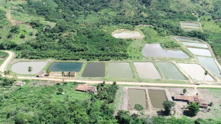 Foto 1 de Fazenda/Sítio à venda, 430000m² em Centro, Borborema