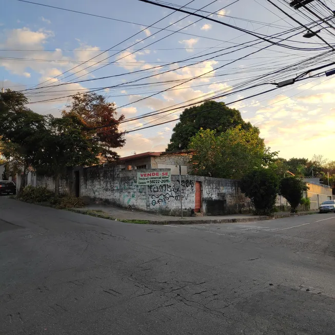 Foto 1 de Casa com 5 Quartos para venda ou aluguel, 600m² em Madre Gertrudes, Belo Horizonte