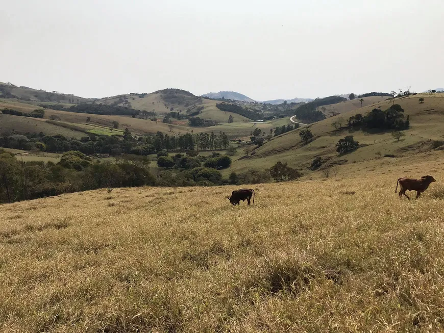 Foto 1 de Fazenda/Sítio com 4 Quartos à venda, 130000m² em Centro, Paraisópolis