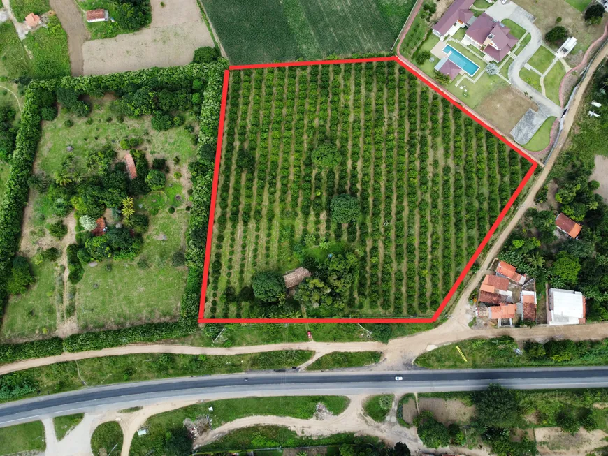 Foto 1 de Lote/Terreno com 1 Quarto à venda, 26136m² em Centro, Cruz das Almas