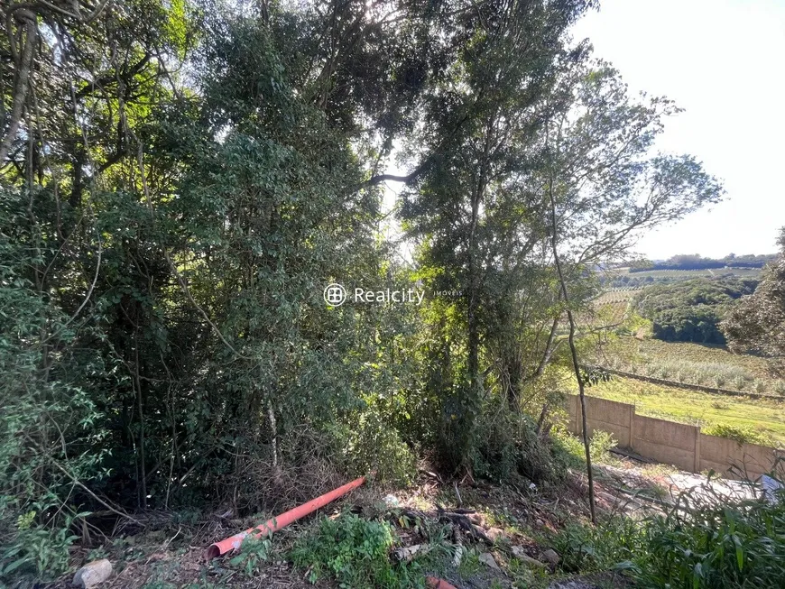 Foto 1 de Lote/Terreno à venda, 4043m² em , Garibaldi