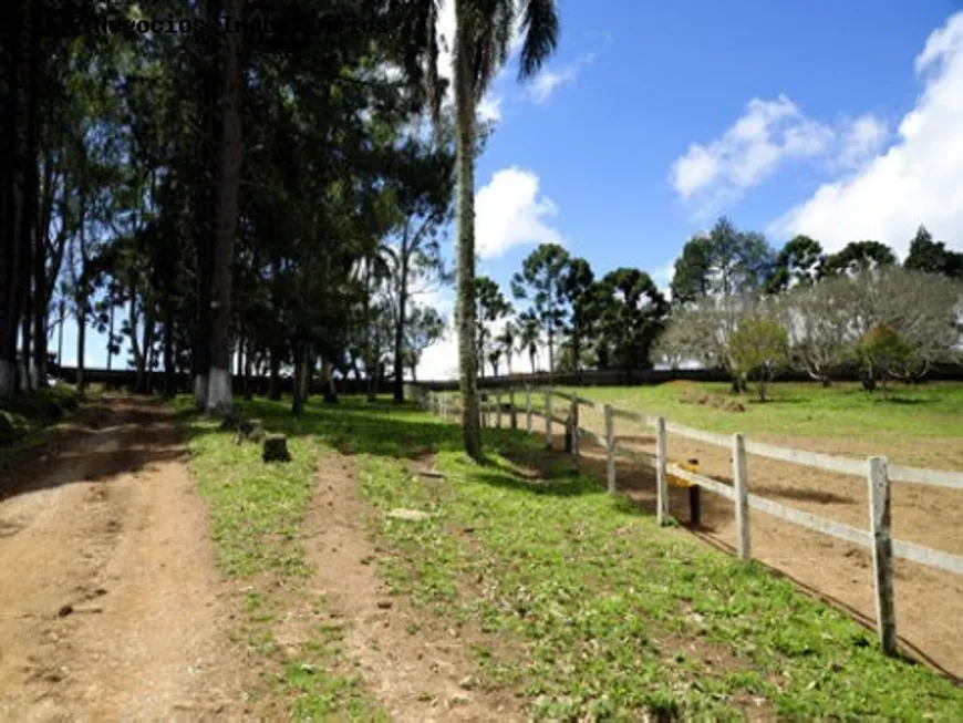 Foto 1 de Fazenda/Sítio com 4 Quartos à venda, 800m² em , Pilar do Sul