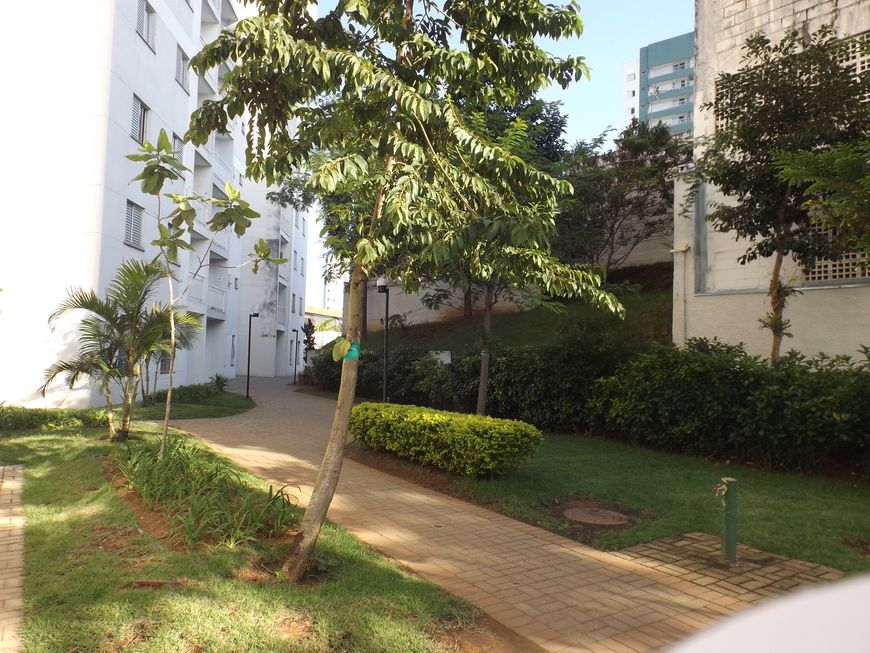 Apartamento na Rua Vinte e Um de Abril, 777, Monte Castelo em São José