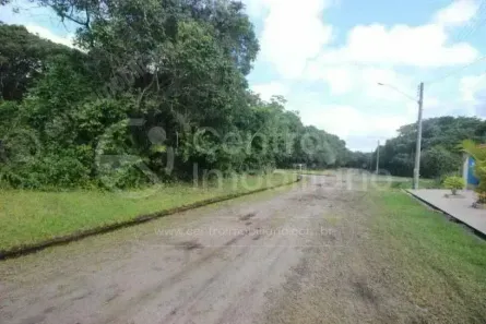 Lote/Terreno à venda, 350m² no Jardim Sao Luis, Peruíbe