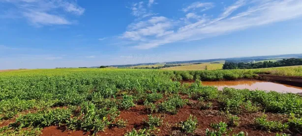 Fazenda/Sítio à venda, 72000m² no São Luiz, Londrina