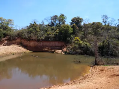 Lote/Terreno à venda, 20000m² no , Jequitibá