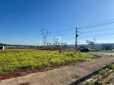 Lote/Terreno com 1 Quarto à venda, 250m² no Jardim Alphacenter, Santa Bárbara D'Oeste