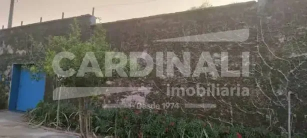 Casa com 2 Quartos para alugar, 220m² no Parque Belvedere, São Carlos