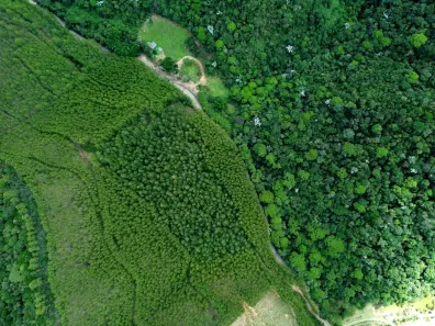 Lote/Terreno à venda, 430000m² no , Alfredo Chaves