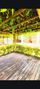 Fazenda/Sítio com 2 Quartos à venda, 350m² no Mira-flores, Hidrolândia