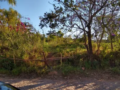 Lote/Terreno à venda, 372m² no Bichinho, Prados