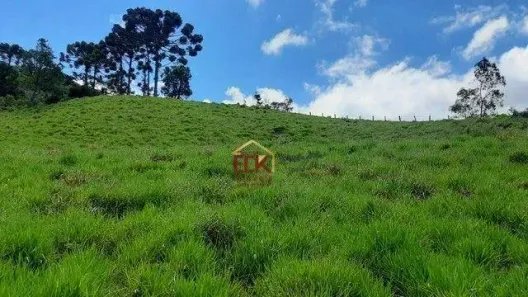 Lote/Terreno à venda, 30000m² no Alto da Boa Vista, São Bento do Sapucaí