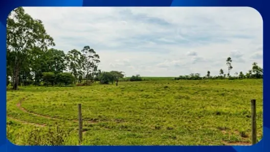 Fazenda/Sítio com 1 Quarto à venda, 6625m² no Moropóia, São José de Ribamar