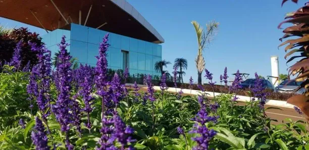 Lote/Terreno à venda, 748m² no São Salvador, Cascavel