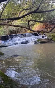 Fazenda/Sítio com 4 Quartos à venda, 467500m² no , Anicuns