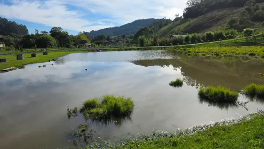 Fazenda/Sítio com 2 Quartos à venda, 36000m² no Cobras Sul, Aurora