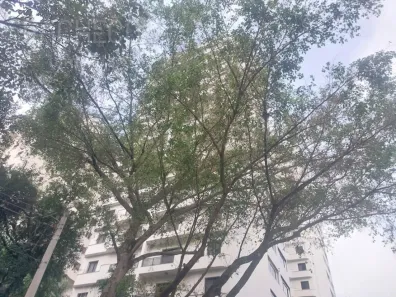 Apartamento com 1 Quarto para alugar, 57m² no Pinheiros, São Paulo