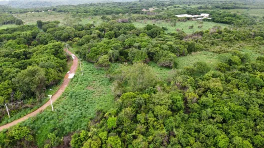 Lote/Terreno com 1 Quarto à venda, 33000m² no Uruguai, Teresina