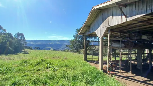 Fazenda/Sítio à venda, 55000m² no Centro, Alfredo Wagner